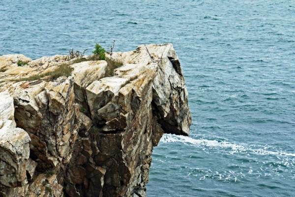 Felsnase - (c) R Plock.jpg
